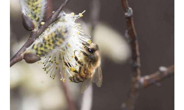 Big image unnamed  2 