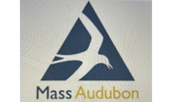 Big image 92ff0ca2 47a7 4224 8c79 180605dcc481 1 201 a