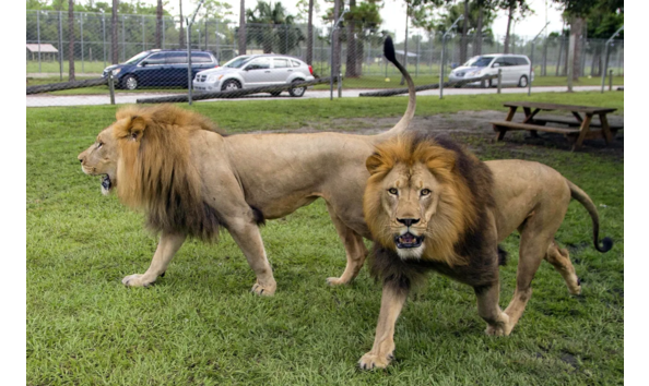 Big image screenshot 2023 11 05 at 1.45.16 pm