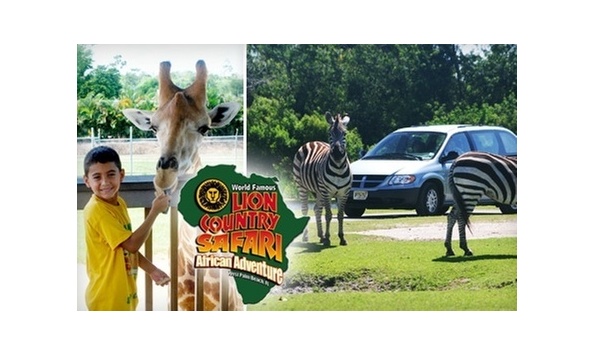 Big image lion courtny2