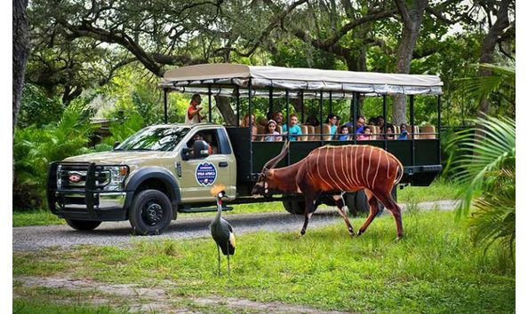Big image zoo tampa1