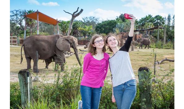 Big image zoo tampa2