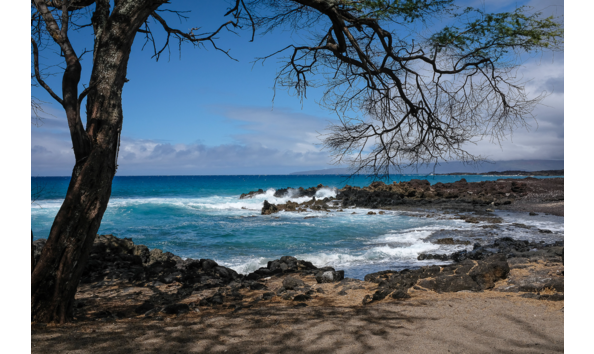 Big image screenshot 2023 11 05 at 4.15.09 pm