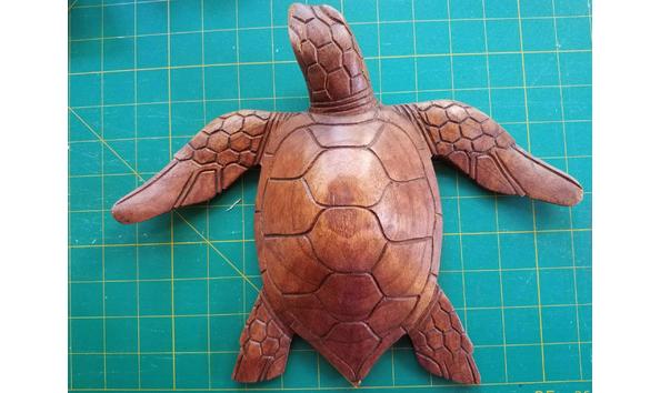 Big image wooden turtle 20231009 171113