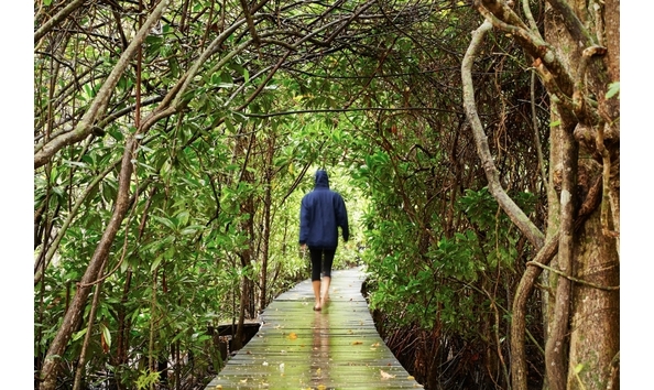 Big image individuals