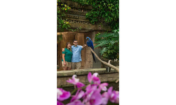 Big image 202c49e5 0a9e 0b30 32bf2d24b58ee97c