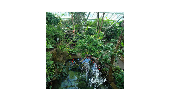 Big image b0a72223 fcc2 84f4 aeeec9a94eab01d7