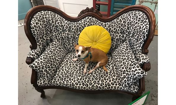 Big image 96239580 2584290195117859 4282109070153875456 o