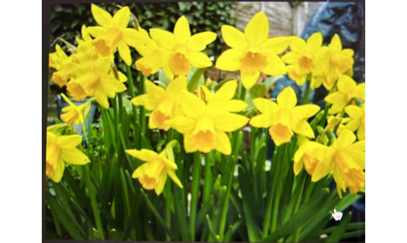 Big image 0ff1316c f80e 4290 9286 ee17fb9471dd 1 201 a