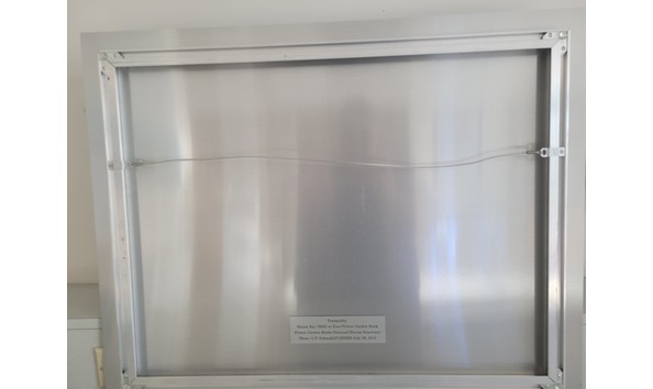 Big image 20231108 153736