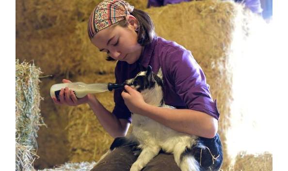 Big image mini magick20180220 55544 r96fm3