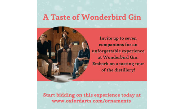 Big image experiences hoa 2022  8.5   11 in   instagram post   6 