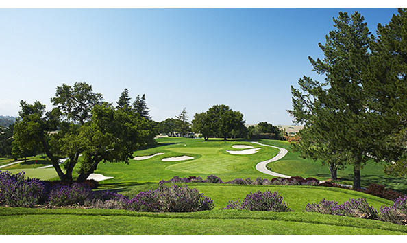 Big image mini magick20180220 55544 8023bq