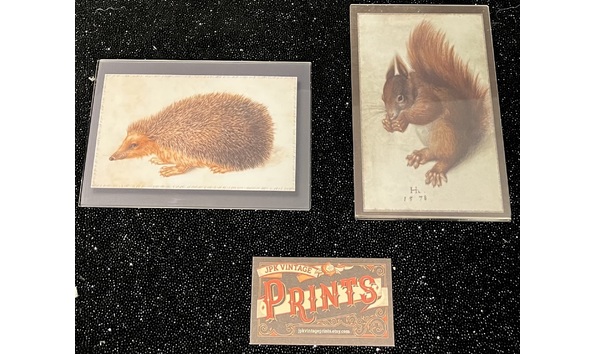 Big image img 5805 copy