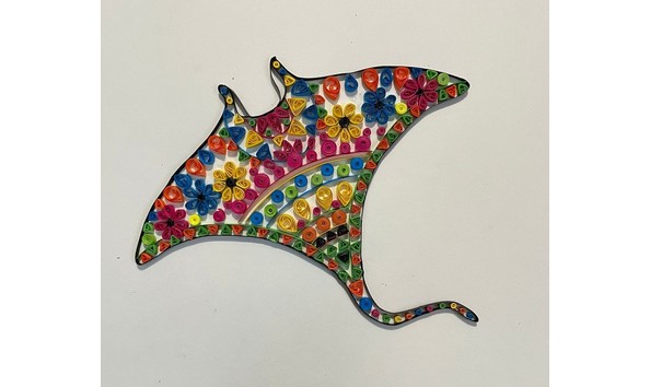 Big image img 20231115 wa0021 2