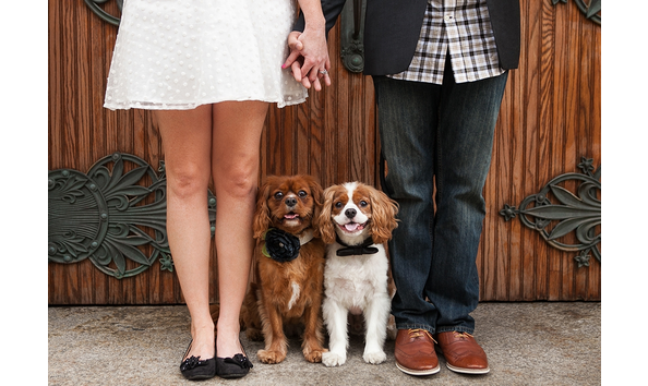 Big image mandy whitley photography