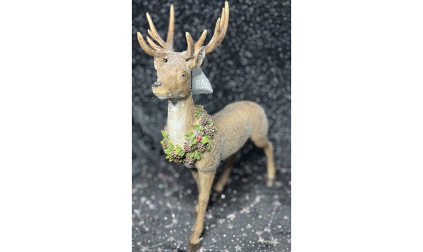 Big image img 5339 copy