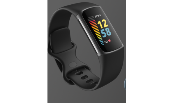 Big image fitbit