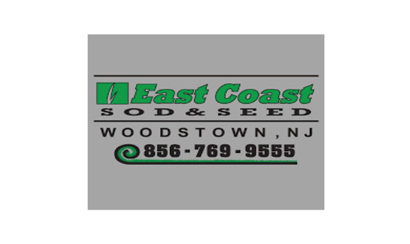 Big image mini magick20231117 121005 1gx3oc8