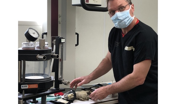 Big image img 5628   copy