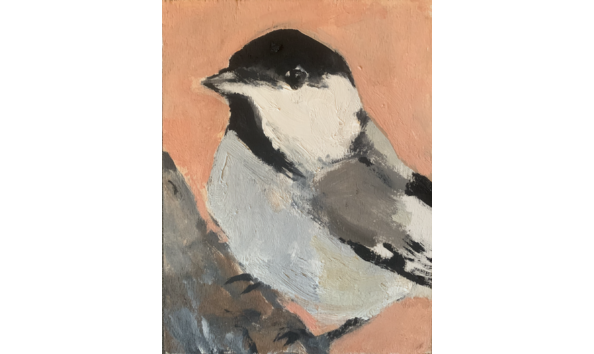 Big image screen shot 2023 11 19 at 10.30.30 am