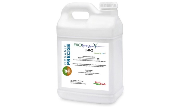 Big image bio synergy