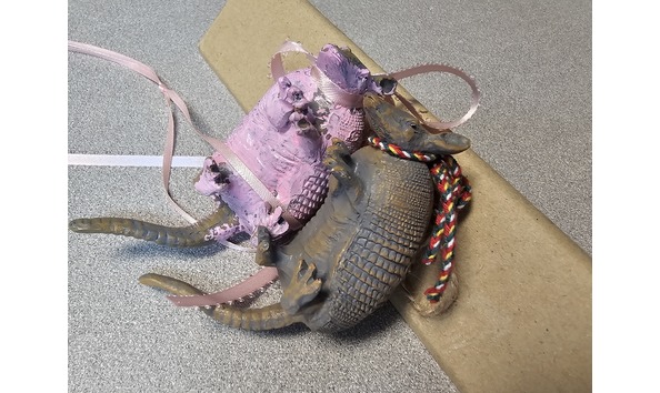 Big image 20231120 150641