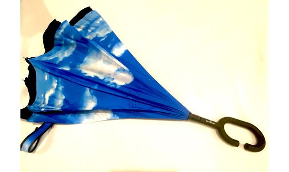 Big image newsight umbrella1