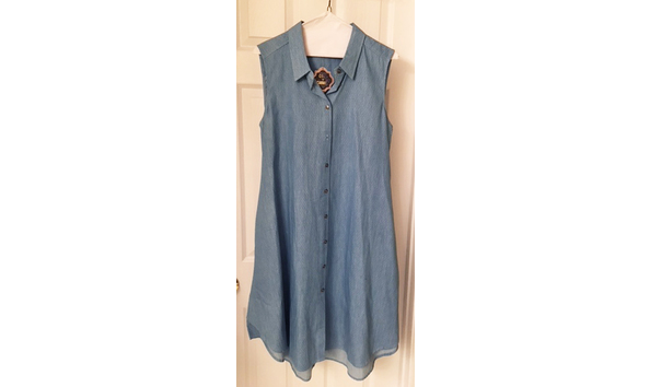 Big image blue dress