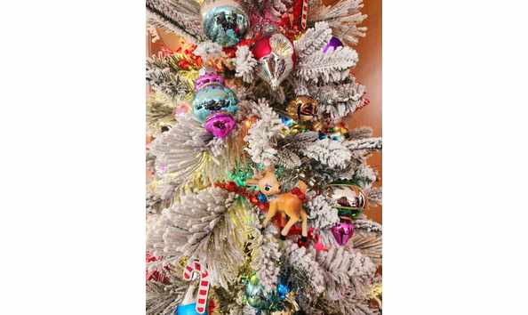 Big image 375195709 1423431091575113 3944756075116142462 n