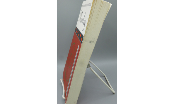 Big image 202202bk017 2   monkey