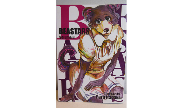 Big image 202109bk001 4   bearstars