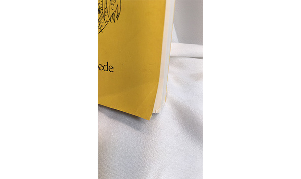 Big image 202206fmag002 2   sw novel dragon s teeth