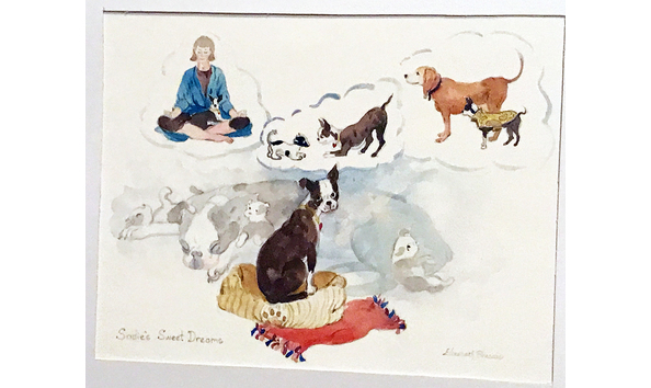 Big image sadie s dream close