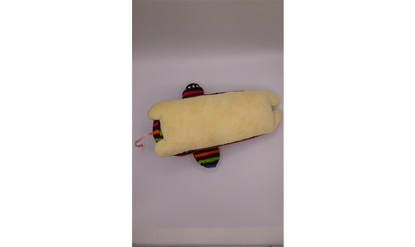 Big image 201909plu010 3   rainbow tree frog