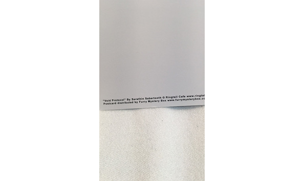 Big image 202206stat002 3   taiji from void protocol postcard