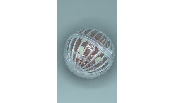 Big image 202208toy012   capsule rain frog squeeze toy 2 of 2