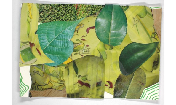 Big image mini magick20231124 14774 eb5g0x