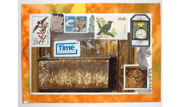 Big image mini magick20231124 14774 babh7j