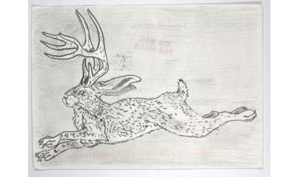 Big image mini magick20231124 14774 17bkpp7