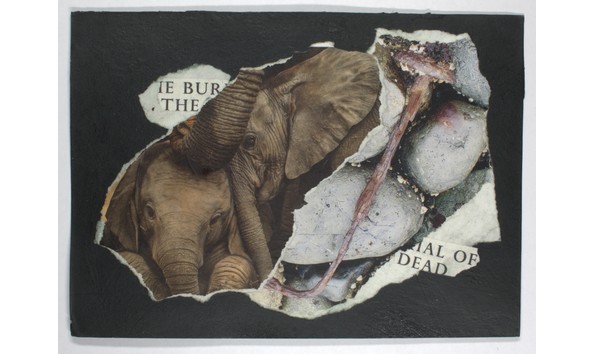 Big image mini magick20231124 14774 wberng