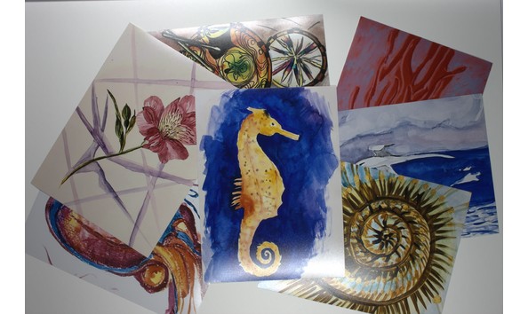 Big image mini magick20231124 14774 pn6zh0