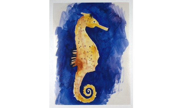 Big image mini magick20231124 14774 1aommn2