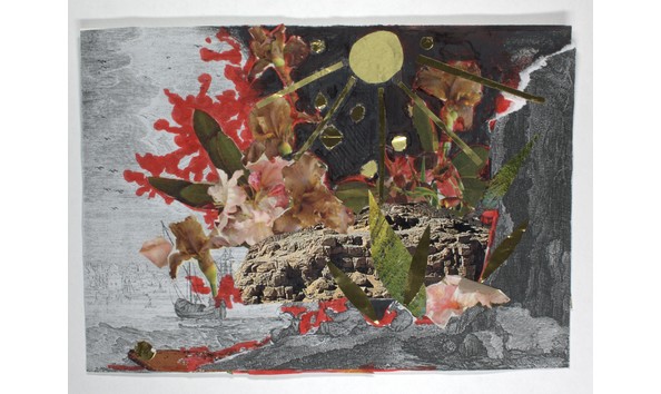 Big image mini magick20231124 14774 1qlos0c