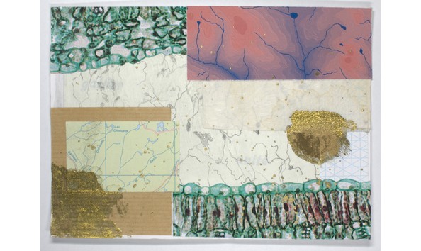 Big image mini magick20231124 14774 1uhv1w9