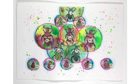 Big image mini magick20231124 14774 1b4et55