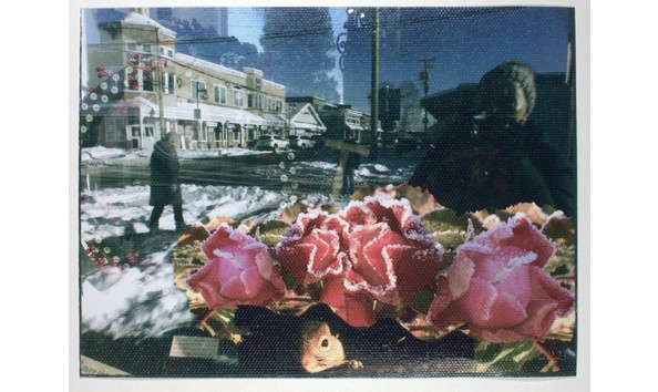 Big image mini magick20231124 14774 1r73mtz