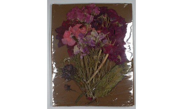 Big image mini magick20231124 14774 7528x1