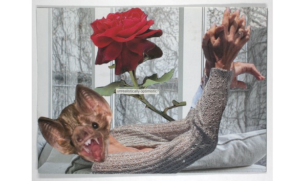 Big image mini magick20231124 14774 1mrve7o