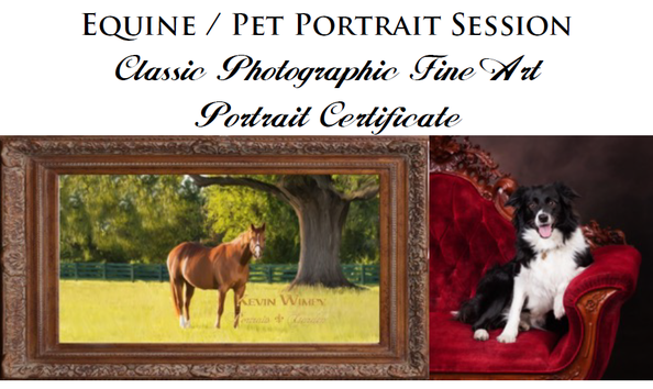 Big image pet portrait session